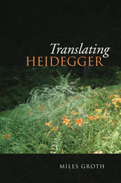 Translating Heidegger, Paperback / softback Book
