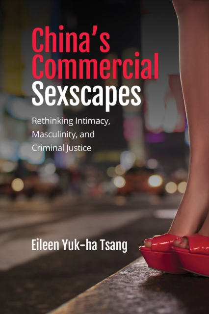 China's Commercial Sexscapes : Rethinking Intimacy, Masculinity, and Criminal Justice, PDF eBook