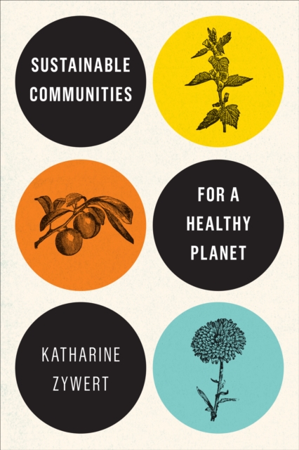 Sustainable Communities for a Healthy Planet, EPUB eBook