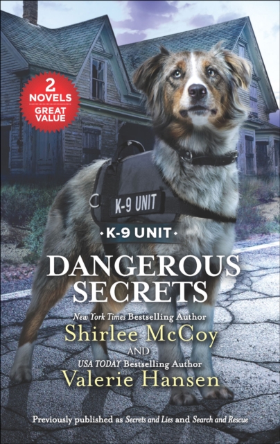 Dangerous Secrets, EPUB eBook