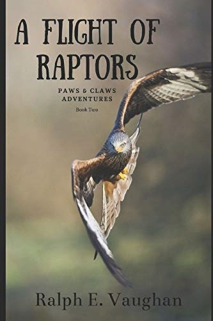 A Flight of Raptors, Paperback / softback Book