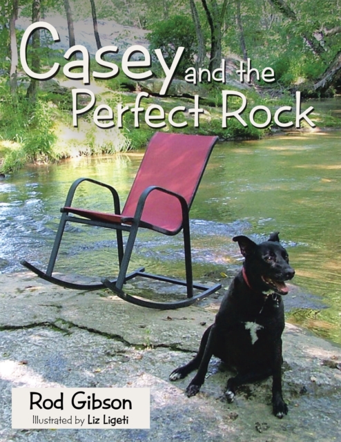 Casey and the Perfect Rock, EPUB eBook
