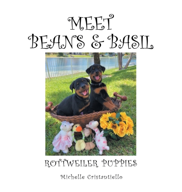Meet Beans and Basil : Rottweiler Puppies, Hardback Book