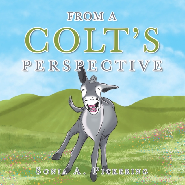 From a Colt's Perspective, EPUB eBook