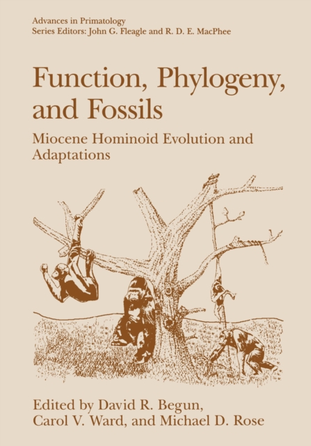 Function, Phylogeny, and Fossils : Miocene Hominoid Evolution and Adaptations, PDF eBook