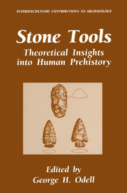 Stone Tools : Theoretical Insights into Human Prehistory, PDF eBook