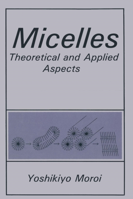 Micelles : Theoretical and Applied Aspects, Paperback / softback Book