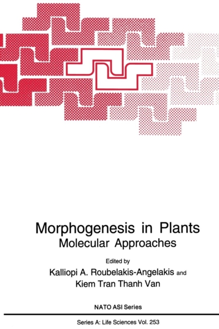 Morphogenesis in Plants : Molecular Approaches, Paperback / softback Book