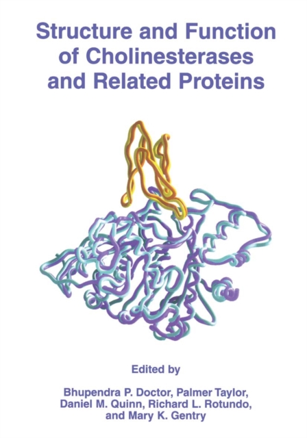 Structure and Function of Cholinesterases and Related Proteins, Paperback / softback Book