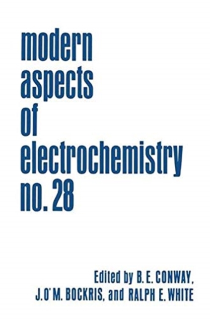 Modern Aspects of Electrochemistry : Volume 28, Paperback / softback Book