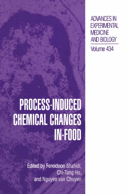 Process-Induced Chemical Changes in Food, PDF eBook