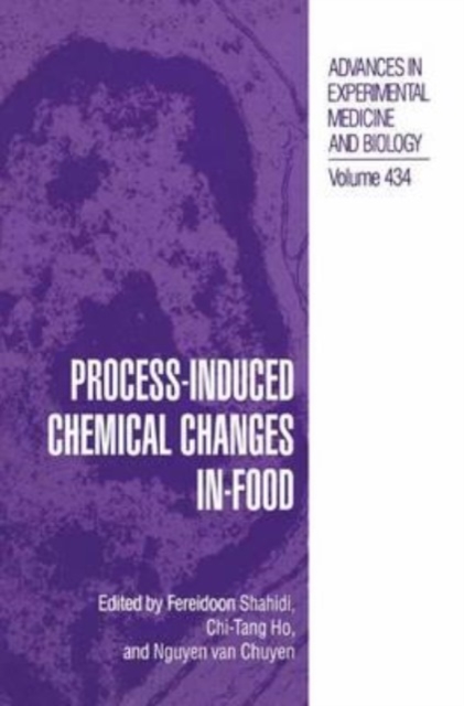 Process-Induced Chemical Changes in Food, Paperback Book