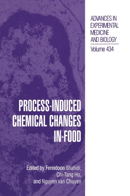 Process-Induced Chemical Changes in Food, Paperback / softback Book