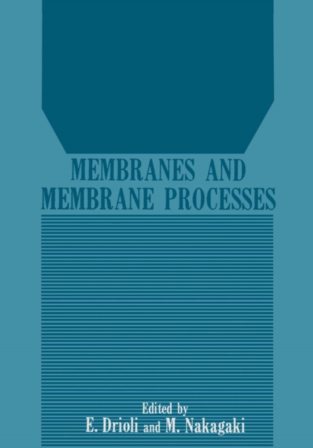 Membranes and Membrane Processes, PDF eBook