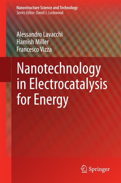 Nanotechnology in Electrocatalysis for Energy, PDF eBook