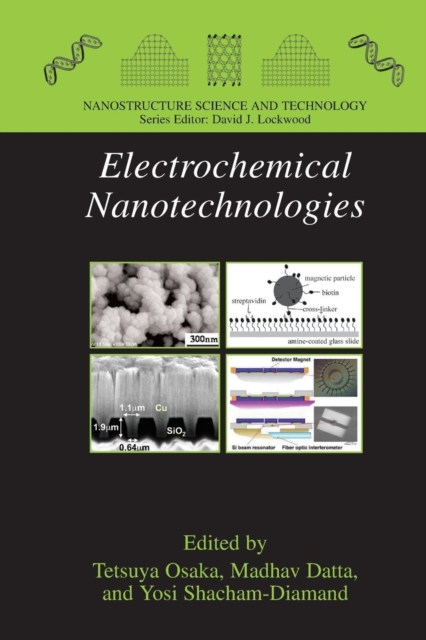 Electrochemical Nanotechnologies, Paperback / softback Book