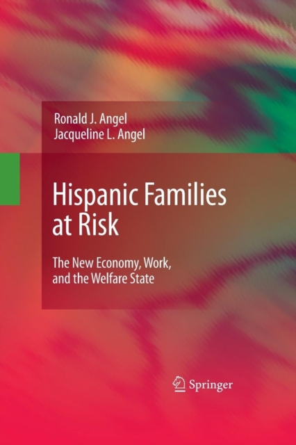 Hispanic Families at Risk : The New Economy, Work, and the Welfare State, Paperback / softback Book