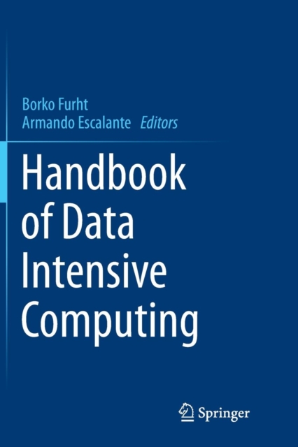 Handbook of Data Intensive Computing, Paperback / softback Book