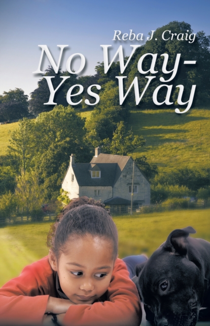 No Way - Yes Way, EPUB eBook