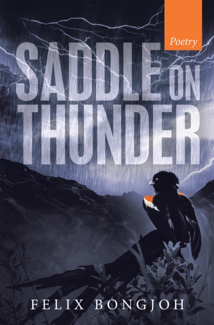 Saddle on Thunder, EPUB eBook