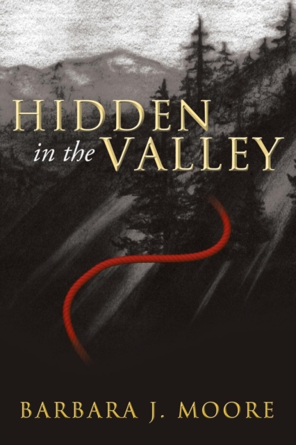 Hidden in the Valley, Paperback / softback Book