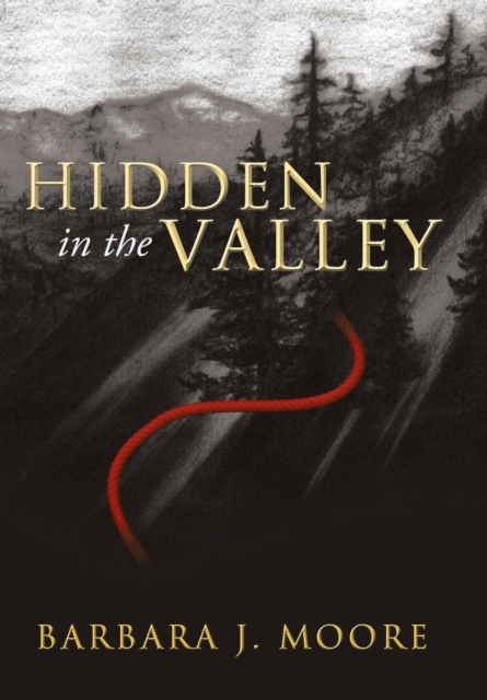 Hidden in the Valley, Hardback Book