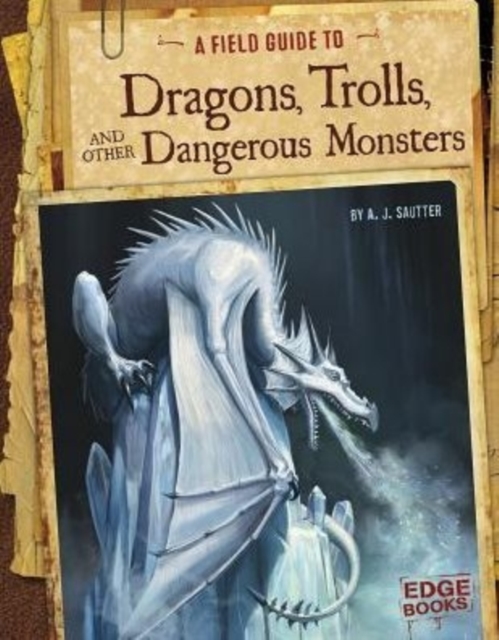 Dragons, Trolls, Dangerous Monsters, Paperback / softback Book