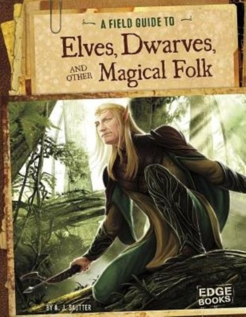 Elves, Dwarves, and other Magical Folk, Paperback / softback Book