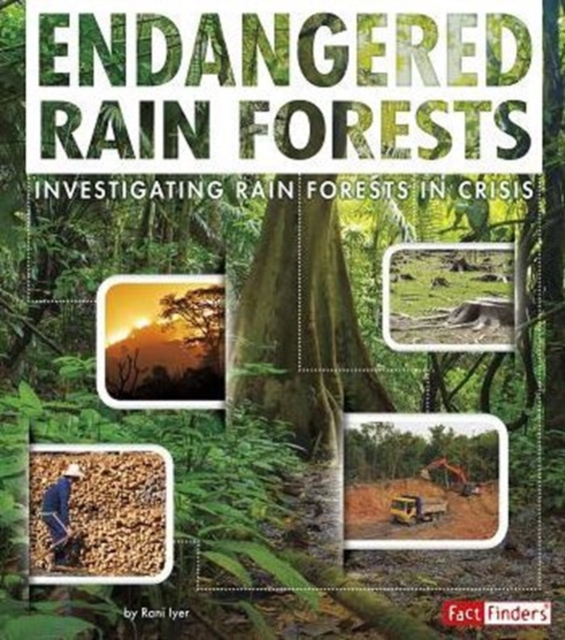 Rain Forests, Paperback / softback Book