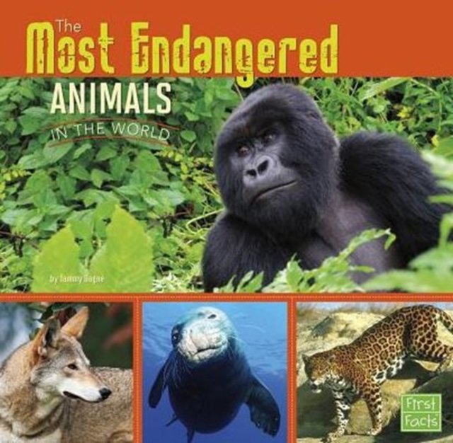 Most Endangered Animals in the World (All About Animals), Paperback / softback Book