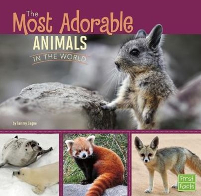 Most Adorable Animals in the World, Paperback / softback Book