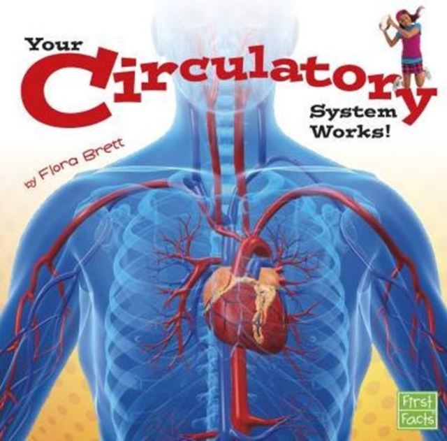 Circulatory System, Paperback / softback Book