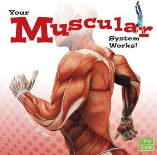 Your Muscular System Works (Your Body Systems), Paperback / softback Book