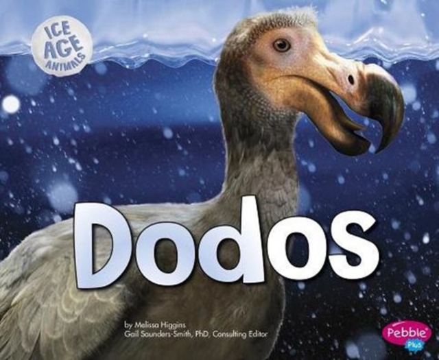 Dodos, Paperback / softback Book