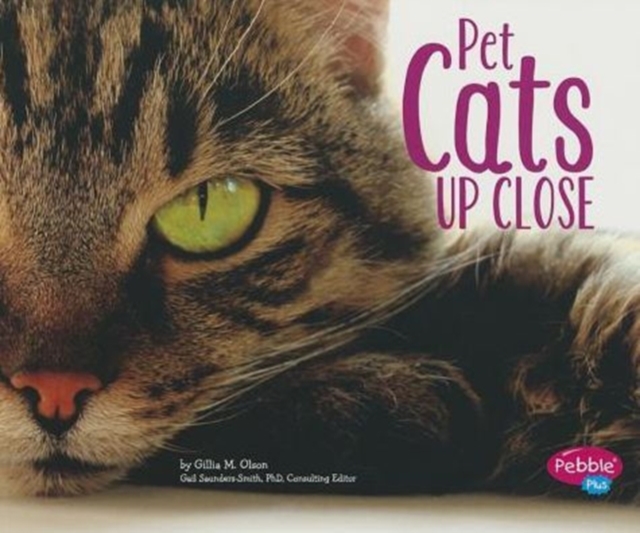 Pet Cats Up Close, Paperback / softback Book