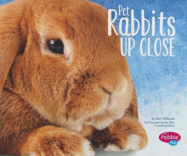 Pet Rabbits Up Close, Paperback / softback Book