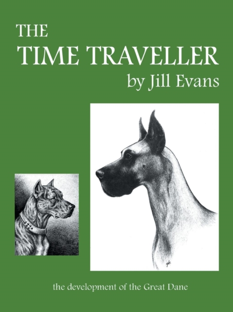 The Time Traveller, Paperback / softback Book