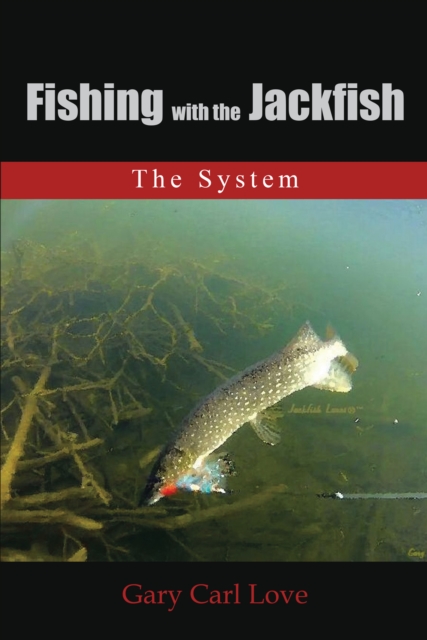 Fishing with the Jackfish : The System, EPUB eBook