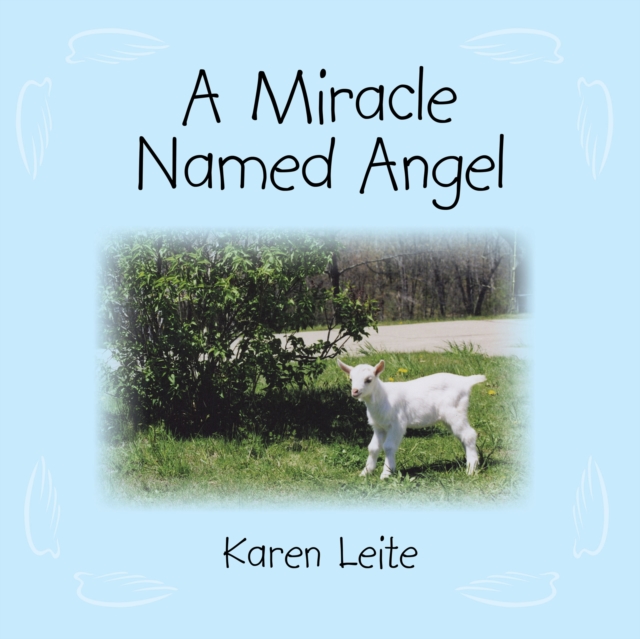 A Miracle Named Angel, EPUB eBook