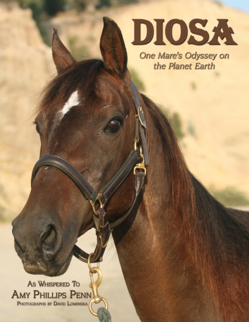 Diosa : One Mare's Odyssey on the Planet Earth, EPUB eBook