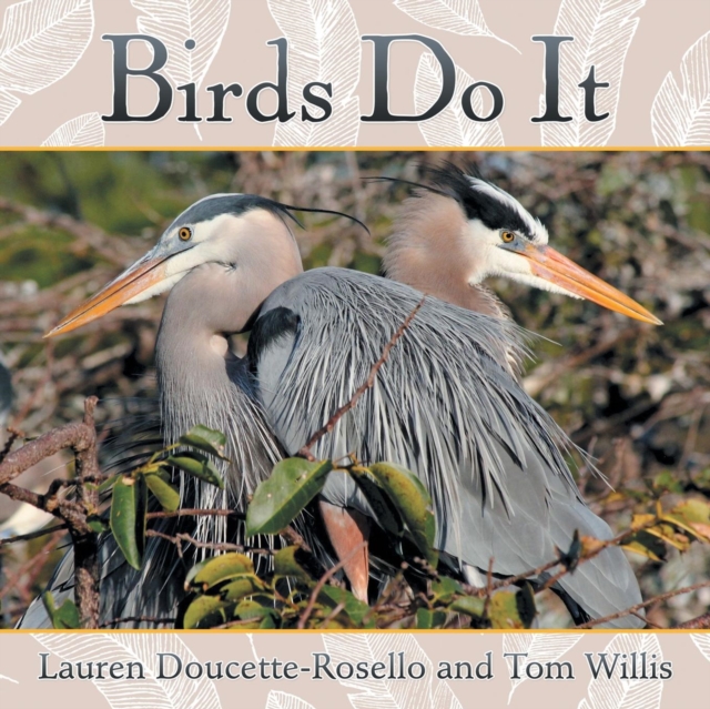 Birds Do It, Paperback / softback Book