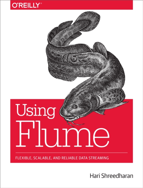 Using Flume : Flexible, Scalable, and Reliable Data Streaming, PDF eBook