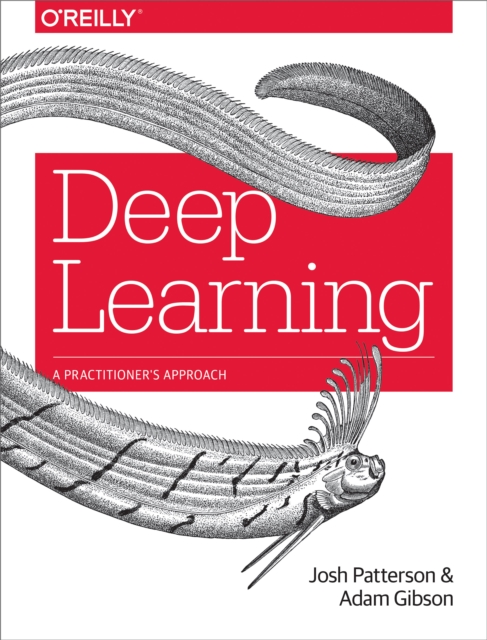 Deep Learning : A Practitioner's Approach, EPUB eBook