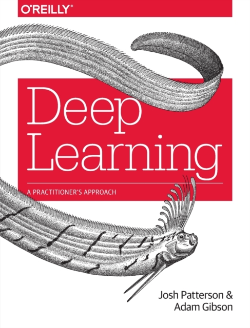 Deep Learning : A Practitioner's Approach, Paperback / softback Book