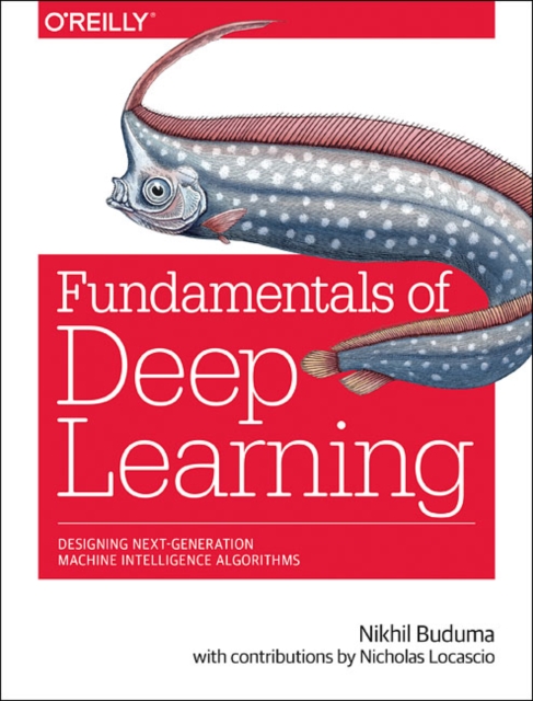 Fundamentals of Deep Learning, Paperback / softback Book