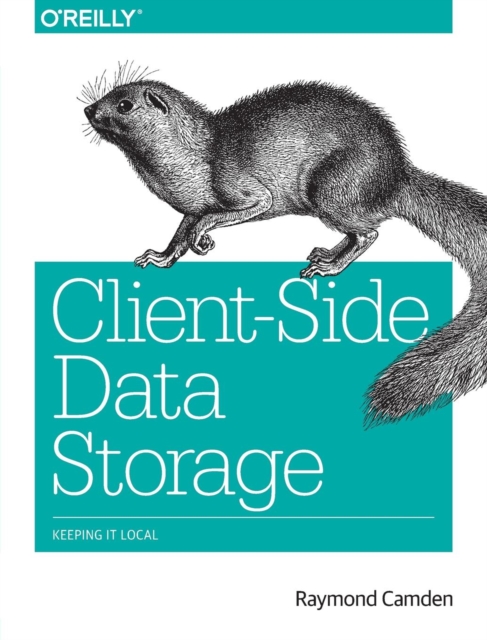 Client-Side Data Storage, Paperback / softback Book