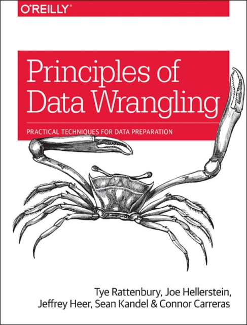 Principles of Data Wrangling : Practical Techniques for Data Preparation, Paperback / softback Book