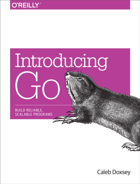Introducing Go : Build Reliable, Scalable Programs, EPUB eBook