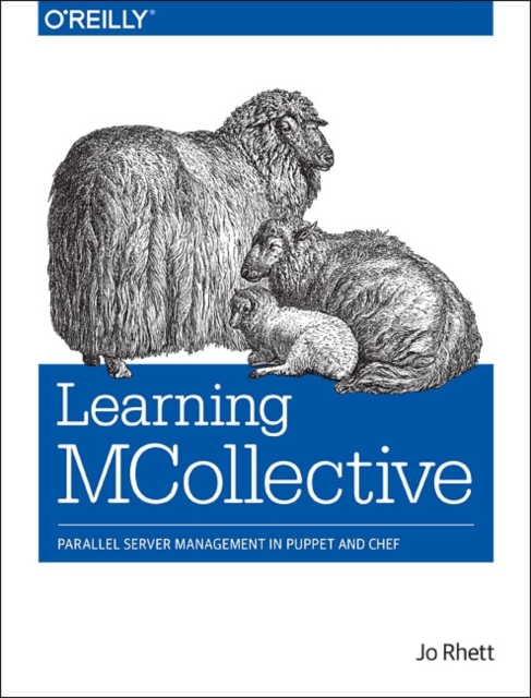 Learning Mcollective, Paperback / softback Book