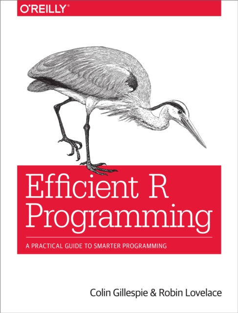 Efficient R Programming : A Practical Guide to Smarter Programming, EPUB eBook